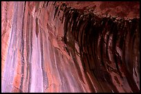 Striated rock in  base alcove of  Double Arch Alcove, Middle Fork of Taylor Creek. Zion National Park ( color)