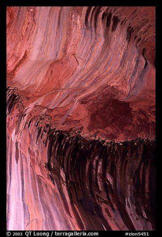 Striations in alcove, Double Arch Alcove, Middle Fork of Taylor Creek. Zion National Park, Utah, USA.