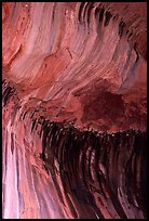 Striations in alcove, Double Arch Alcove, Middle Fork of Taylor Creek. Zion National Park ( color)