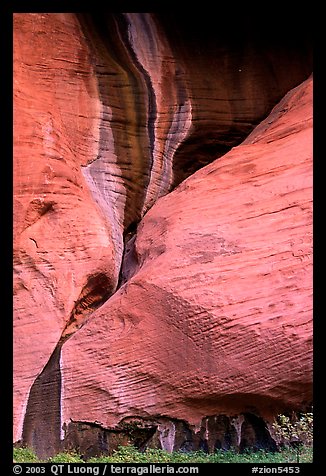 Rock sandstone wall, Double Arch Alcove, Middle Fork of Taylor Creek. Zion National Park, Utah, USA.