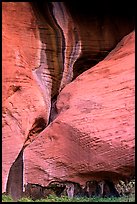 Rock sandstone wall, Double Arch Alcove, Middle Fork of Taylor Creek. Zion National Park, Utah, USA. (color)