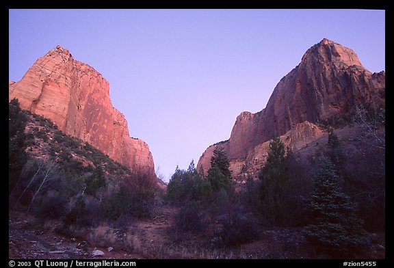 Middle Fork of Taylor Creek, one of  Finger canyons, sunset. Zion National Park, Utah, USA.