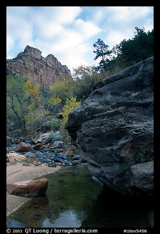 Left Fork of the North Creek. Zion National Park, Utah, USA.