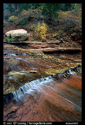 Travertine terraced cascades in autum, Left Fork. Zion National Park (color)