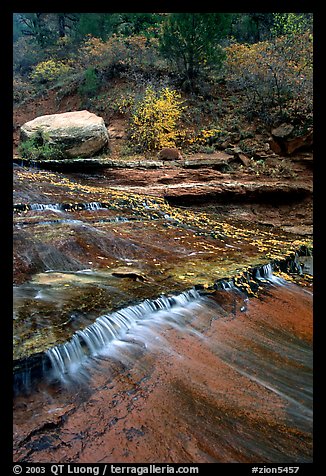 Archangel Falls. Zion National Park, Utah, USA.