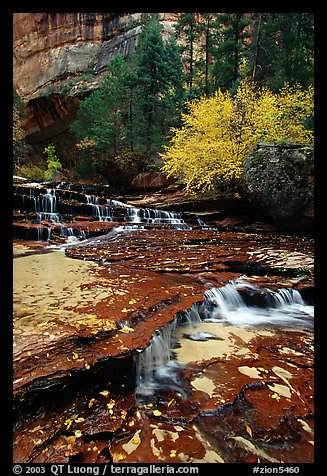 Cascades over terraces, Left Fork of the North Creek. Zion National Park (color)