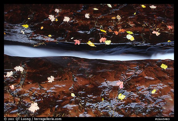 Six inch wide crack channeling all flow of Left Fork of the North Creek. Zion National Park (color)