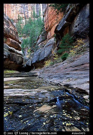 Entrance of the Subway, Left Fork of the North Creek. Zion National Park, Utah, USA.