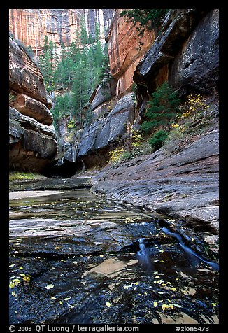 Entrance of the Subway, Left Fork of the North Creek. Zion National Park (color)