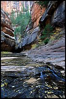 Entrance of the Subway, Left Fork of the North Creek. Zion National Park, Utah, USA. (color)