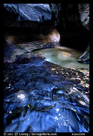 Water flowing in pools in the Subway, Left Fork of the North Creek. Zion National Park, Utah, USA.