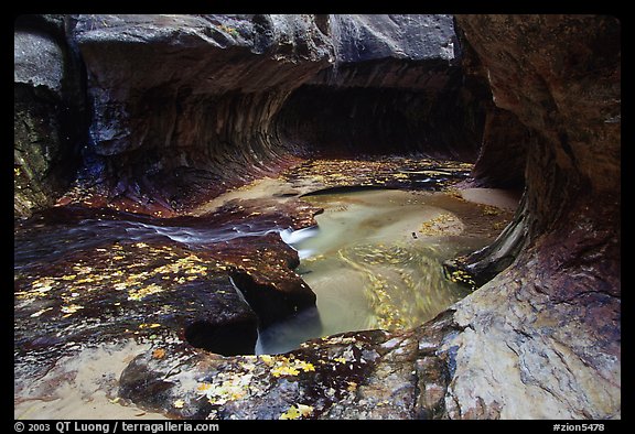 Water flowing in pools in the Subway, Left Fork of the North Creek. Zion National Park, Utah, USA.