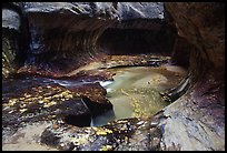 Water flowing in pools in the Subway, Left Fork of the North Creek. Zion National Park, Utah, USA. (color)