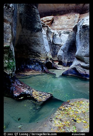 Pools and sculptured sandstone walls, the Subway, Left Fork of the North Creek. Zion National Park (color)