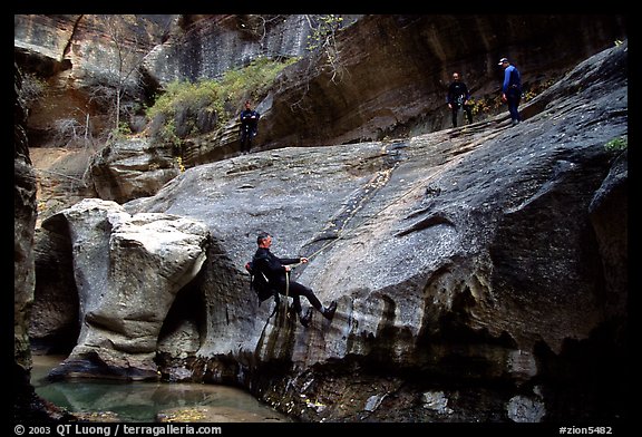 Canyoneers in wetsuits rappel down walls of the Subway. Zion National Park (color)