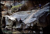 Canyoneers in wetsuits rappel down walls of the Subway. Zion National Park, Utah, USA. (color)