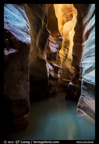 Flooded slot canyon. Zion National Park (color)