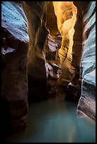 Flooded slot canyon. Zion National Park ( color)