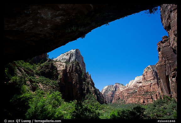 Canyon seen from Weeping Rock alcove. Zion National Park (color)