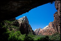 Canyon seen from Weeping Rock alcove. Zion National Park ( color)