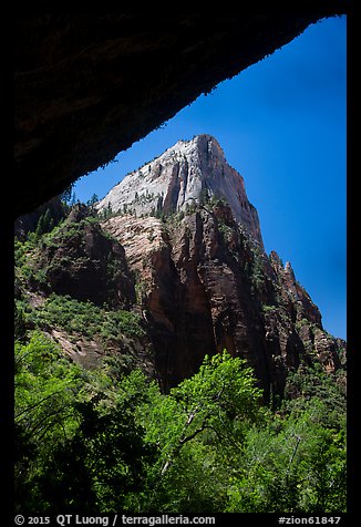 Peak from Weeping Rock alcove. Zion National Park (color)