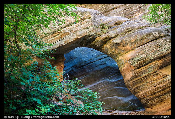Arch, Hidden Canyon. Zion National Park (color)