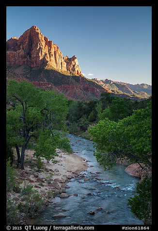 Virgin River and Watchman in summer. Zion National Park (color)