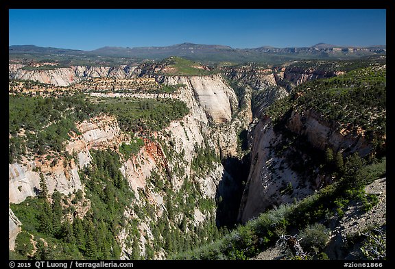 Mystery Canyon from the rim. Zion National Park (color)