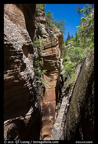 Narrows, Mystery Canyon. Zion National Park (color)