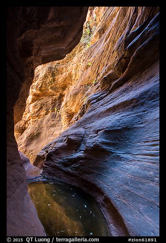Pool and sculpted canyon walls, Mystery Canyon. Zion National Park (color)