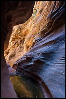 Pool and sculpted canyon walls, Mystery Canyon. Zion National Park ( color)