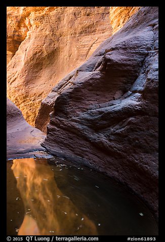 Glowing canyon wall reflected in pool, Mystery Canyon. Zion National Park (color)