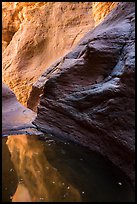Glowing canyon wall reflected in pool, Mystery Canyon. Zion National Park ( color)