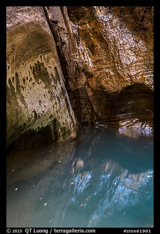 Mystery Springs pool, Mystery Canyon. Zion National Park (color)