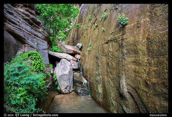 Canyon walls and stream, Mystery Canyon. Zion National Park (color)