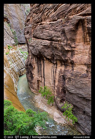 Virgin River Narrows seen from above. Zion National Park (color)