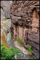 Virgin River Narrows seen from above. Zion National Park ( color)