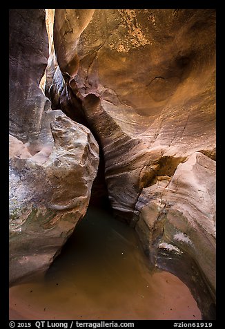 Sculpted canyon walls, Pine Creek Canyon. Zion National Park (color)
