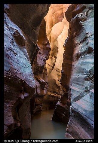 Dark flooded slot canyon, Pine Creek Canyon. Zion National Park (color)
