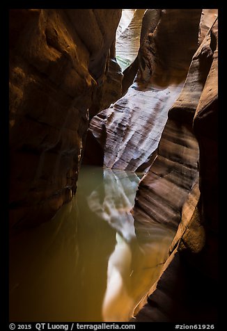 Slot canyon reflections, Pine Creek Canyon. Zion National Park (color)