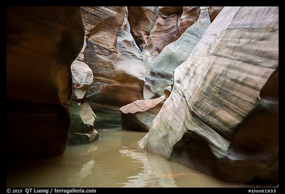 Slot canyon narrows and reflections, Pine Creek Canyon. Zion National Park (color)