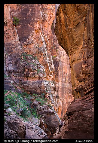 Pine Creek Canyon walls. Zion National Park (color)