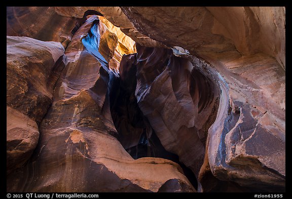 Sculpted alcove, Pine Creek Canyon. Zion National Park (color)