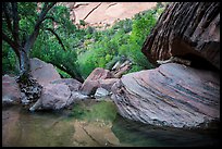 Pool, bouders, and trees, Pine Creek Canyon. Zion National Park ( color)