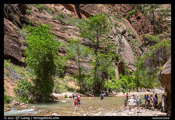 Crowds at the start of the Narrows hike. Zion National Park (color)