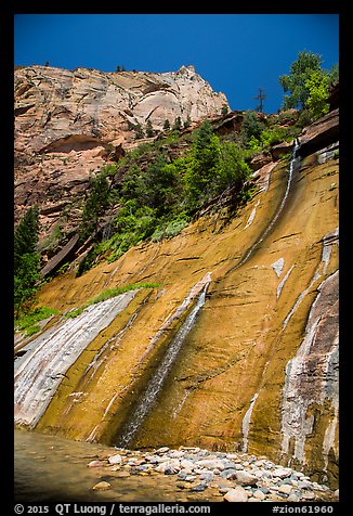 Mystery Falls. Zion National Park (color)