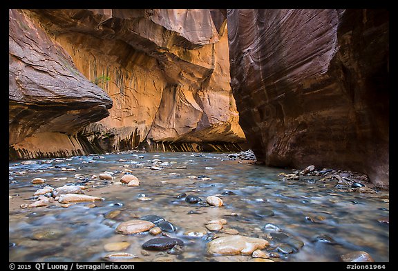 Bend of the Virgin River in the Narrows. Zion National Park (color)