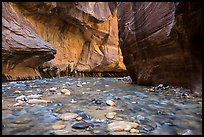 Bend of the Virgin River in the Narrows. Zion National Park ( color)