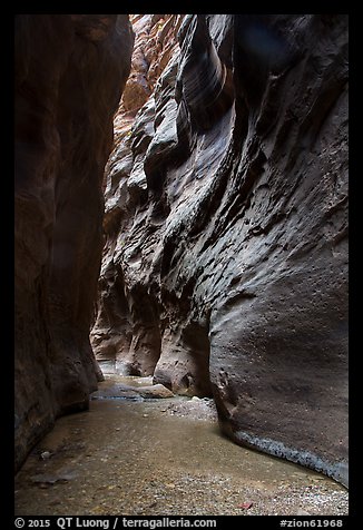 Dark passage in Orderville Narrows. Zion National Park (color)