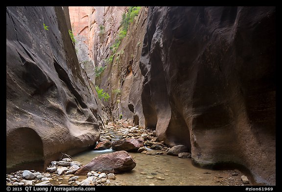 Orderville Narrows. Zion National Park (color)